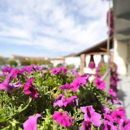 Casa Americani Hotel Montà